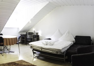 Penthouse apartment near the city center
