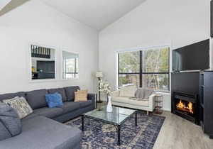 Penthouse in the Pines (Including Basement Unit)