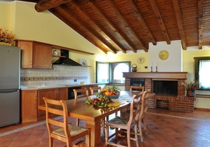 Penthouse with pool - Olea Dei Holiday Apartments