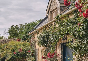 Peony Cottage - Luxury Cottages