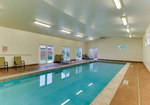 Perfect Downtown Location - Fenced Yard - Dog Friendly - Ping Pong/Pool