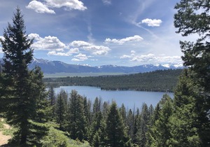 Perfect location! Close to town and trail!