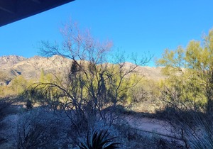 Pet Friendly-1st Floor 2 with Direct Access from parking - Mountain Views!