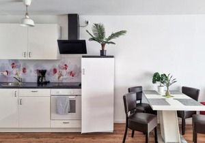 Pet Friendly Apartment