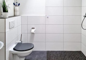 Pet Friendly Apartment