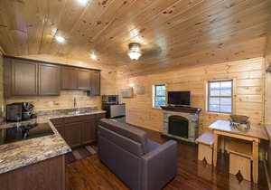 Pet Friendly Beautiful Tiny House Cabin in Inlet, NY Adirondack Mountains