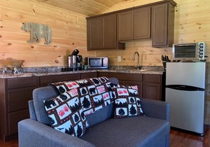 Pet Friendly Beautiful Tiny House Cabin in Inlet, NY Adirondack Mountains