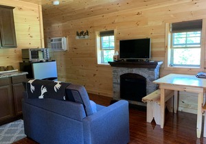 Pet Friendly Beautiful Tiny House Cabin in Inlet, NY Adirondack Mountains