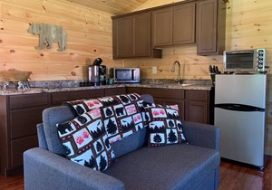 Pet Friendly Beautiful Tiny House Cabin in Inlet, NY (Adirondack Mountains)