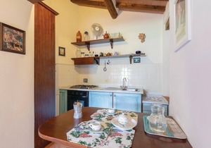 Pet friendly apartment