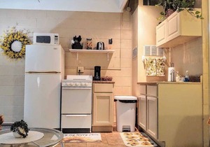 Pet Friendly Studio Cottage #3 At The Water's Edge