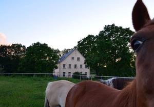 Pferdehof Muhlitz on Rügen, an idyll for individualists