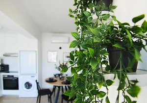 Phaedrus Living: Seaside Modern Flat Lighthouse 63