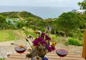 Piha Tiny House