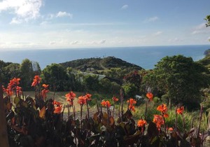 Piha Tiny House