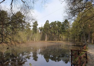 Pine Tree - 3 bedroom, 2 bathroom, Secluded Hot tub and Pet friendly