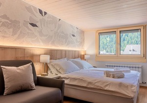 PINZOLO THREE - ROOM APARTMENT WITH WIFI AND TWO BATHROOM