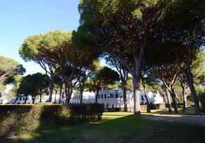 Piverd Del Golf 11