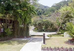 Plantation Apartment Phuket