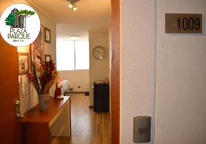 Plaza Parque Suites 1009