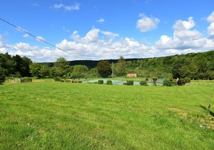 Pleasant Cottage in Asnières with Terrace