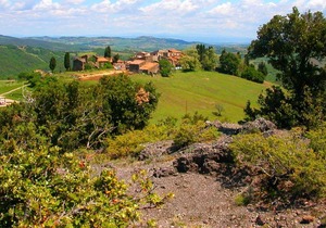 Pleasant holiday home in Montecastelli Pisano