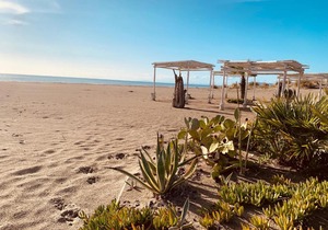 Podere L'Orsinghi in Ravi mit fantastischer Aussicht auf die Hügel der Maremma, Schwimmbad und Garten. Haustiere erlaubt. Kinderfreundlich