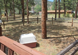 Ponderosa Pines Lodge, Beautiful and Spacious Home, Pet friendly, sleeps 13
