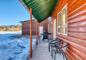 Ponderosa Pines