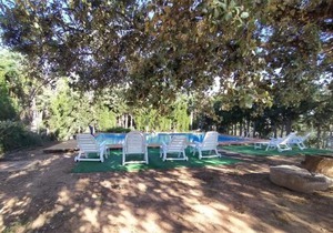 Pozuelo 1 JABUGO