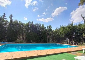 Pozuelo 2 JABUGO