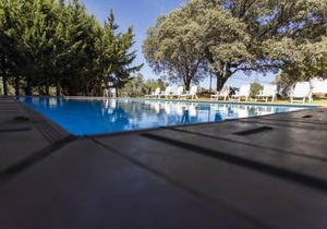 Pozuelo 3 JABUGO