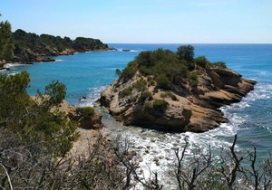 Precious Bungalow Only 50m Away Form The Beach