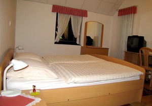 Prenočišča MRAZ*** Classic Single Room, Private Bathroom, Balcony, Hills view