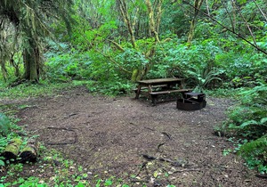 Primitive Tent Site #10- Beautiful Forested Property