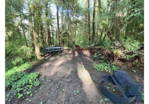 Primitive Tent Site #11- Beautiful Forested Property