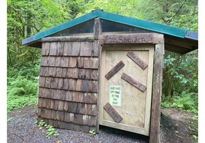 Primitive Tent Site #15- Beautiful Forested Property