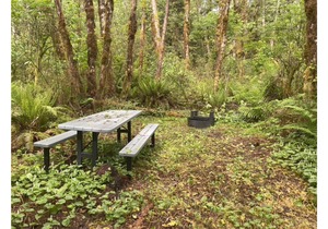 Primitive Tent Site #15- Beautiful Forested Property