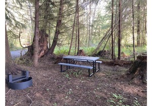 Primitive Tent Site #6- Beautiful Forested Property