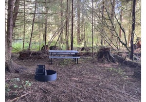 Primitive Tent Site #6- Beautiful Forested Property