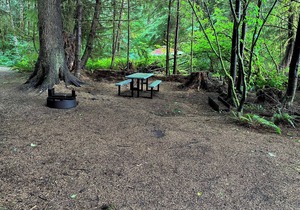 Primitive Tent Site #6- Beautiful Forested Property