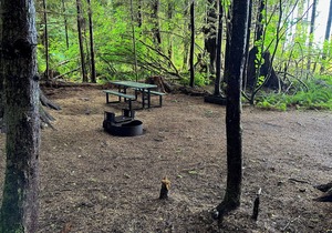 Primitive Tent Site #6- Beautiful Forested Property