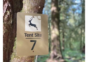 Primitive Tent Site #7- Beautiful Forested Property