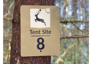 Primitive Tent Site #8- Beautiful Forested Property