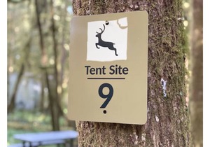 Primitive Tent Site #9- Beautiful Forested Property