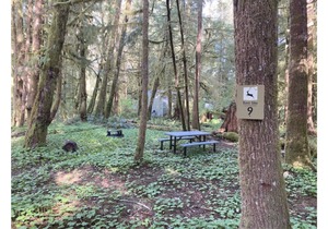 Primitive Tent Site #9- Beautiful Forested Property