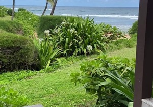 Private and Romantic Seaside Retreat - Just Twelve Steps to the Beach!