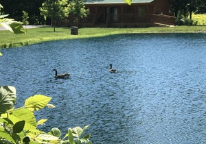 Private Catch & Release Lake - Boat Rental Included! Close To Lake Cumberland!