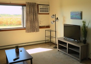 Private Furnished Apartment long & short stay Lamberton Minnesota
