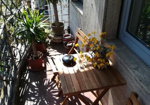 Private room Sempione